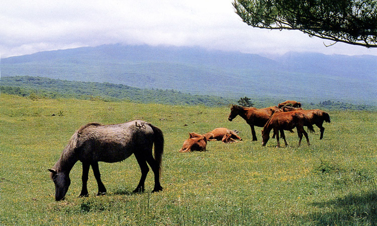 2d71746dce1acc2948c616bb38e29891_1771028252_0363.jpg 2d71746dce1acc2948c616bb38e29891_1771028252_0363.jpg